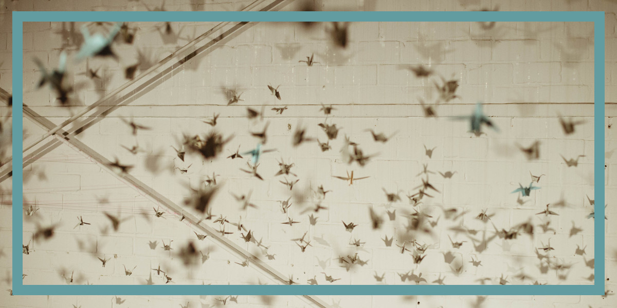 Rebecca Martin lässt Kraniche ziehen.